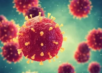 Wamenkes Tegaskan Virus Nipah Belum Ditemukan di Indonesia