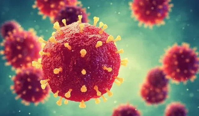 Wamenkes Tegaskan Virus Nipah Belum Ditemukan di Indonesia