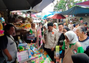 Harga Pangan Stabil, PAPERA: Pedagang Pasar Tradisional Dapat Lonjakan Pembeli