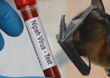 Dokter Ingatkan Bahaya Virus Nipah, Infeksi Langka yang Menyerang Otak Manusia
