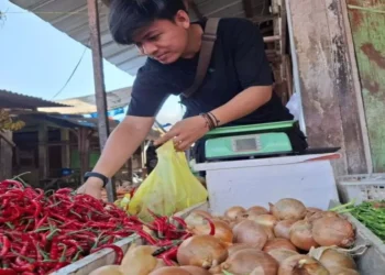 Jelang Imlek dan Ramadan, Harga Pangan di Jakpus Mulai Naik