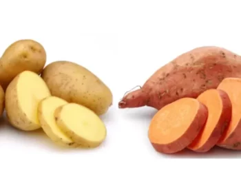 Ubi Jalar vs Kentang Putih: Mana yang Lebih Aman untuk Gula Darah?