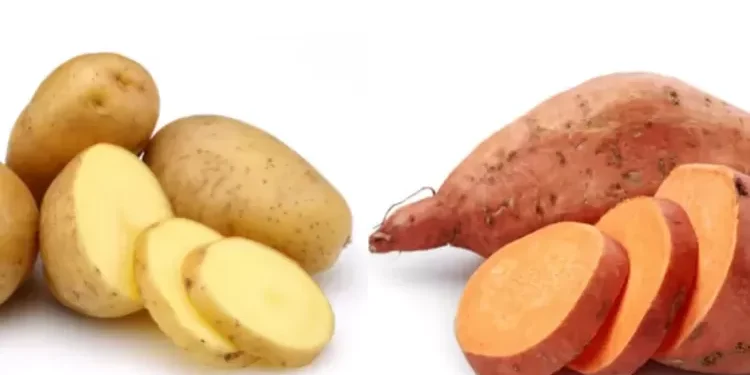 Ubi Jalar vs Kentang Putih: Mana yang Lebih Aman untuk Gula Darah?