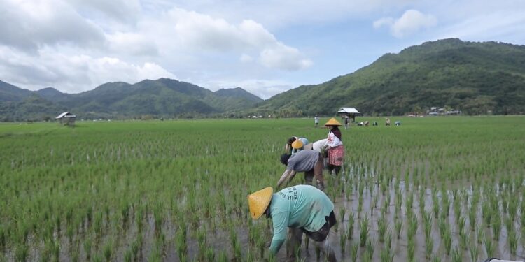 Berbasis Gotong Royong, Desa Manemeng Perkuat Ekosistem Ekonomi Kerakyatan melalui Program Desa BRILiaN