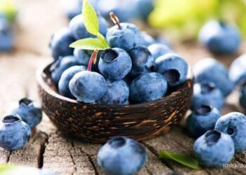 Tak Banyak yang Tahu, 6 Buah Ini Ternyata Sangat Baik untuk Kesehatan Ginjal