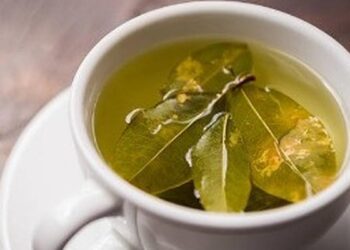 3 Rebusan Daun Penurun Gula Darah, Cocok Dikonsumsi Usai Santap Lebaran