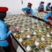 49 Dapur MBG Dihentikan Sementara, BGN Perketat Pengawasan dan Standar Keamanan