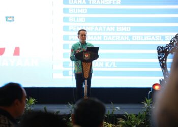 Atasi Keterbatasan Anggaran, Dirjen Keuda Kemendagri Dorong Daerah Terapkan Creative Financing