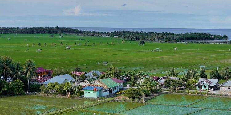 Dari Potensi Lokal ke Prestasi Nasional, Desa BRILiaN Sausu Tambu Perkuat Ekonomi Pesisir