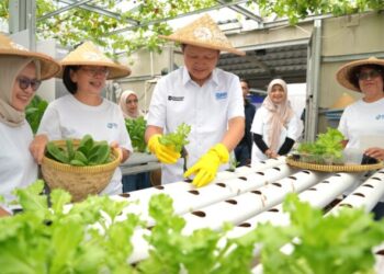 Perempuan Berdaya Lewat Program BRInita, Intip Kisah Inspiratif KWT Buaran Citra Lestari Manfaatkan Lahan Sempit untuk Tanaman Produktif