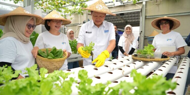 Perempuan Berdaya Lewat Program BRInita, Intip Kisah Inspiratif KWT Buaran Citra Lestari Manfaatkan Lahan Sempit untuk Tanaman Produktif