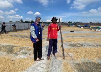 Kisah Inspiratif Mantri BRI di Lombok, Sosok Perempuan Berdaya yang Menggerakkan Ekonomi Masyarakat Sekitar