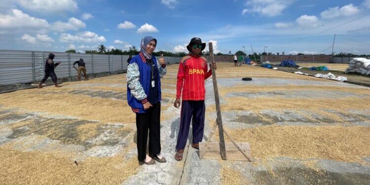 Kisah Inspiratif Mantri BRI di Lombok, Sosok Perempuan Berdaya yang Menggerakkan Ekonomi Masyarakat Sekitar