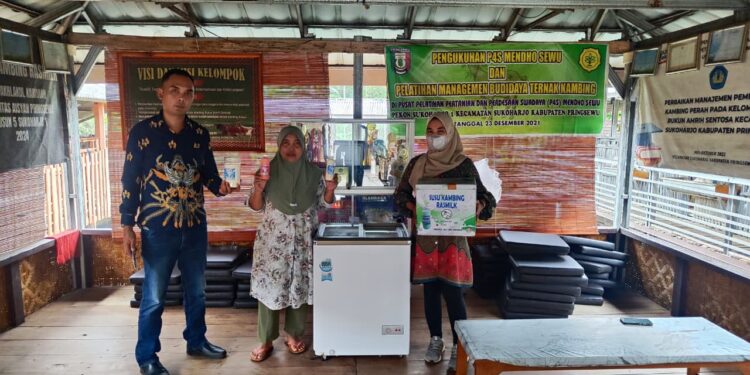 Berawal dari Satu Ekor Kini Tembus Seratus Ekor, UMKM Susu Kambing Ras Farm Tumbuh Pesat Berkat Dukungan KUR BRI