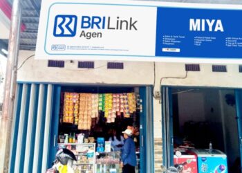 Kisah BRILink Agen Perempuan di Palembang, Usaha Naik Kelas dan Layani Ribuan Transaksi Keuangan Masyarakat Tiap Bulan