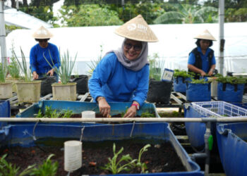 Dari Kartini untuk Bumi: BRI Berdayakan Perempuan Lewat Urban Farming Program BRInita