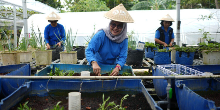 Dari Kartini untuk Bumi: BRI Berdayakan Perempuan Lewat Urban Farming Program BRInita
