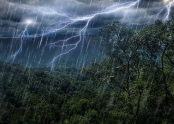 BMKG Peringatkan Hujan Lebat dan Petir di Sejumlah Wilayah, Warga Diminta Waspada