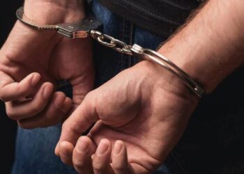 Viral Video Aniaya Anjing hingga Tewas, Pria di Mataram Diringkus Polisi