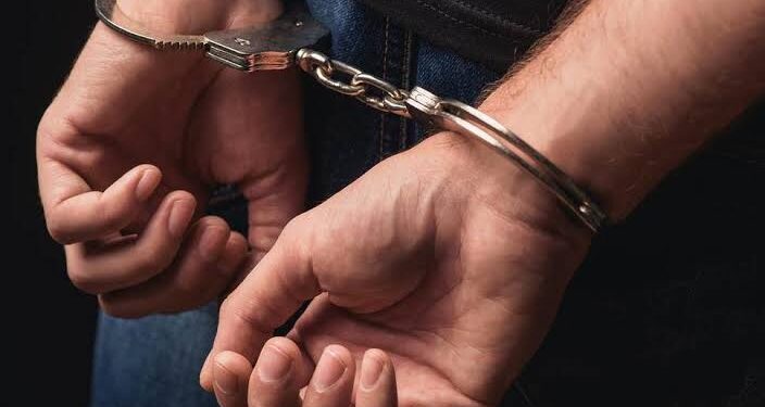 Viral Video Aniaya Anjing hingga Tewas, Pria di Mataram Diringkus Polisi