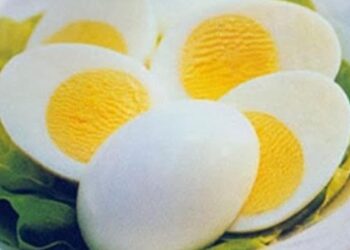 Benarkah Telur Rebus Bikin Gemuk? Simak Fakta dan Cara Konsumsinya