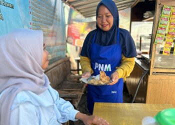 Holding Ultra Mikro Terbukti Tingkatkan Kesejahteraan, Perempuan Ini Sukses Kembangkan Usaha Rumahan hingga Jadi Andalan Transaksi Warga melalui BRILink Agen