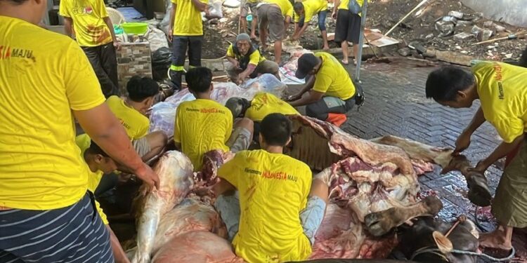 Iduladha 1447 H, Golkar DKI Distribusikan 117 Hewan Kurban
