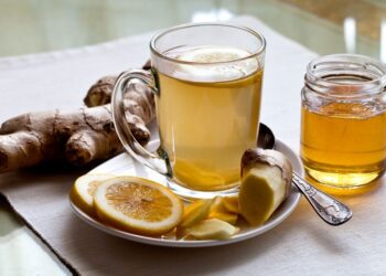 Setelah Makan Sate dan Gulai, Coba 7 Minuman Ini agar Pencernaan Ringan dan Lancar
