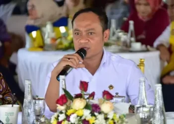 Anggota BPK Haerul Saleh Meninggal Dunia dalam Kebakaran Rumah di Jagakarsa