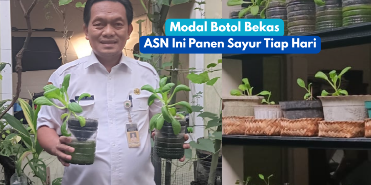 ASN Pemprov Banten Sulap Botol Bekas Jadi Kebun Mini, Panen Sayur dari Rumah