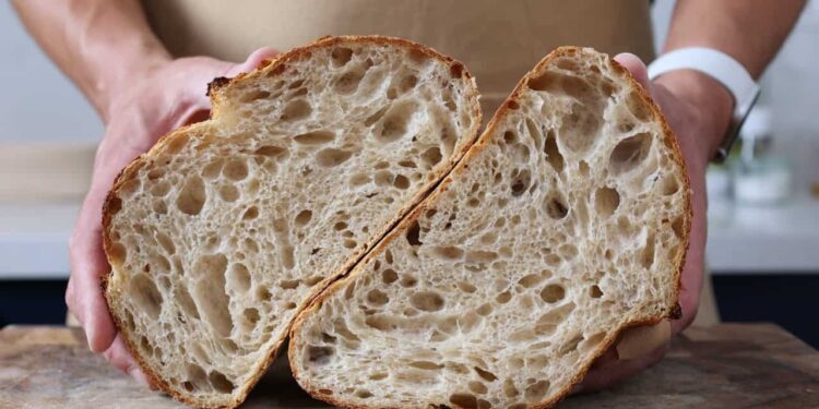 Sourdough vs Roti Gandum Utuh, Mana yang Lebih Sehat dan Cocok untuk Diet?