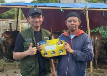 Pemkot Tangerang Data Lapak Hewan Kurban Jelang Iduladha 1447 H