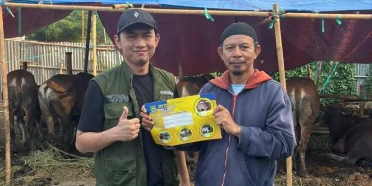 Pemkot Tangerang Data Lapak Hewan Kurban Jelang Iduladha 1447 H