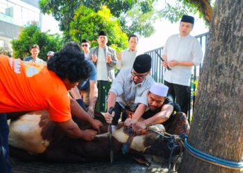 Pilar Ikut Sembelih Hewan Kurban, Ajak Warga Tangsel Perkuat Kepedulian Sosial