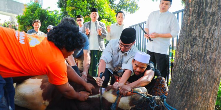 Pilar Ikut Sembelih Hewan Kurban, Ajak Warga Tangsel Perkuat Kepedulian Sosial