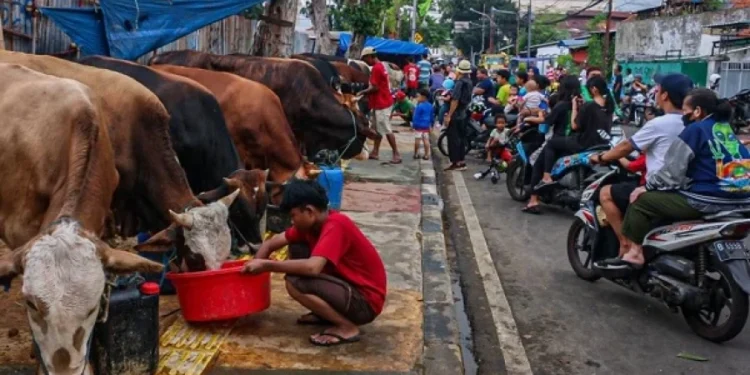 Satpol PP DKI Mulai Tertibkan Lapak Hewan Kurban yang Pakai Trotoar