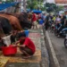 Satpol PP DKI Mulai Tertibkan Lapak Hewan Kurban yang Pakai Trotoar