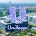 Ketika Bias Kognitif Membayangi Raksasa FMCG: Pelajaran Behavioral Corporate Finance dari PT Unilever Indonesia Tbk