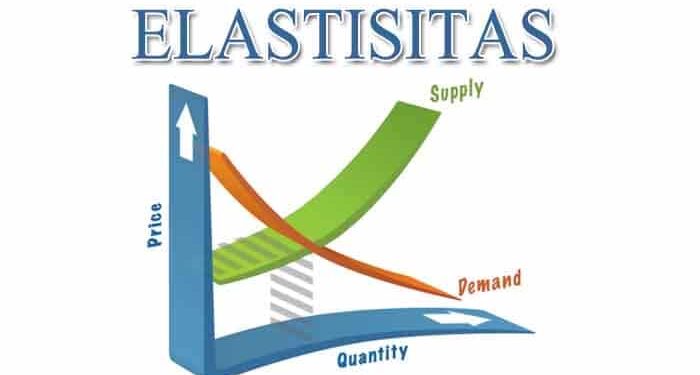 Sensitivitas atau Elastisitas Produk: Faktor Penting dalam Memahami Perubahan Perilaku Konsumen