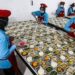 BGN Hentikan Sementara Operasional Dapur MBG Selama Liburan Sekolah