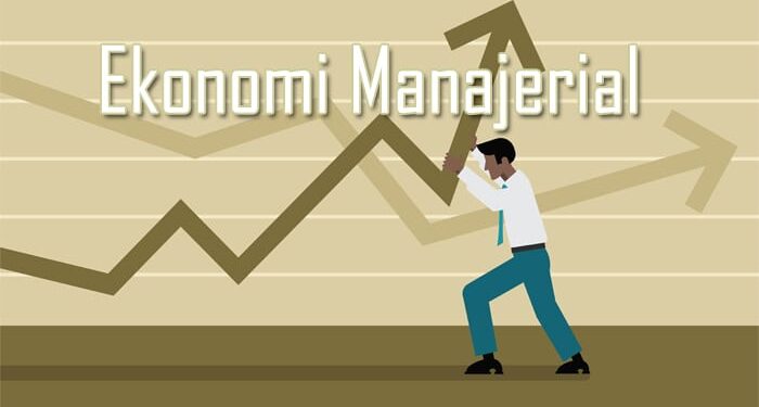 Analisis Implementasi Ekonomi Manajerial dalam Optimasi Pengambilan Keputusan Strategis Perusahaan pada Era Transformasi Digital