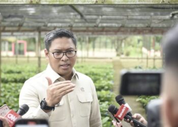 BGN Siapkan Platform Pengawasan Menu Makan Bergizi Gratis, Bisa Diakses Pekan Depan
