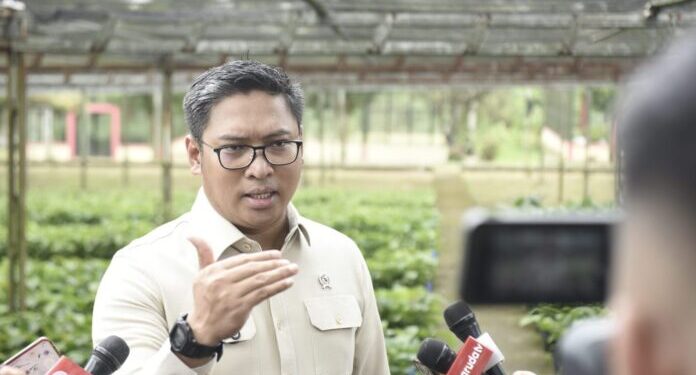 BGN Siapkan Platform Pengawasan Menu Makan Bergizi Gratis, Bisa Diakses Pekan Depan