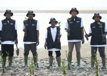 Hari Mangrove Sedunia 2026, BRI Peduli Libatkan Kelompok Tani Lokal Tanam 24.000 Mangrove untuk Pulihkan Ekosistem Pesisir