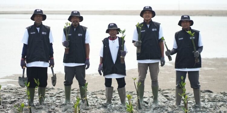 Hari Mangrove Sedunia 2026, BRI Peduli Libatkan Kelompok Tani Lokal Tanam 24.000 Mangrove untuk Pulihkan Ekosistem Pesisir