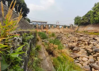 Kemarau Picu Debit Sungai Ciliwung Turun, Bendung Katulampa Capai Titik Nol