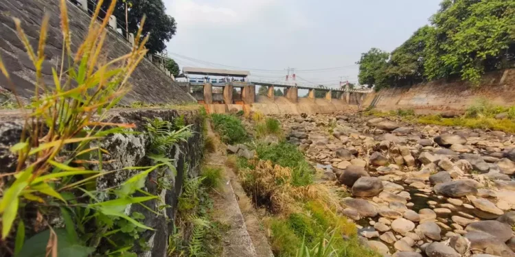 Kemarau Picu Debit Sungai Ciliwung Turun, Bendung Katulampa Capai Titik Nol