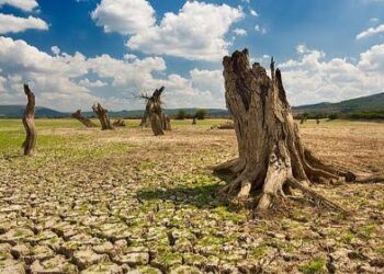 BMKG Prediksi El Nino Berlanjut hingga 2027, Bapanas Jamin Pasokan Pangan Aman