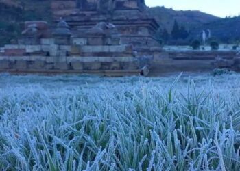 Embun Upas Kembali Selimuti Dieng, Suhu Minus 2 Derajat Bikin Candi Arjuna Memutih