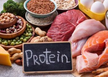 Waspada! Asupan Protein Berlebih Dapat Membahayakan Ginjal